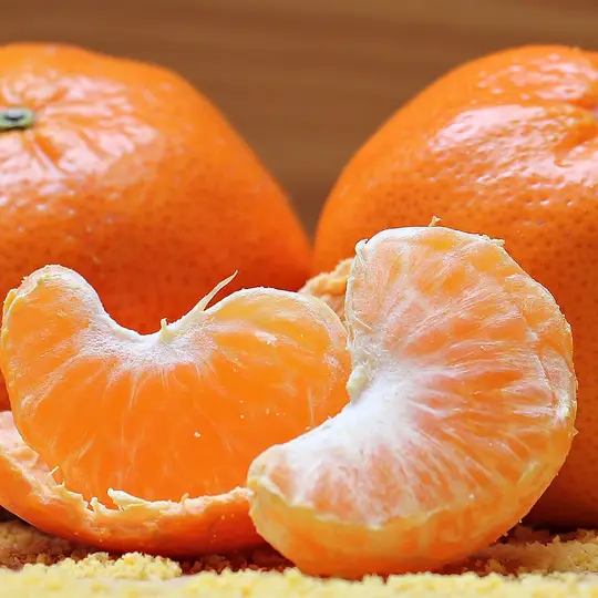 Fremont Mandarin Orange Featured Image