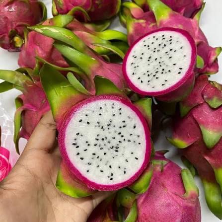 White Dragon Fruit Plant Featured Image