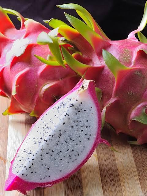 White Dragon Fruit Plant Featured Image