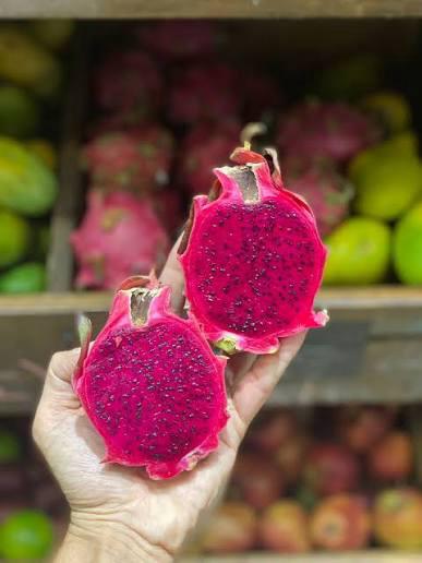 Red Dragon Fruit Plant Featured Image