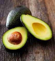 Avocado Plant Featured Image